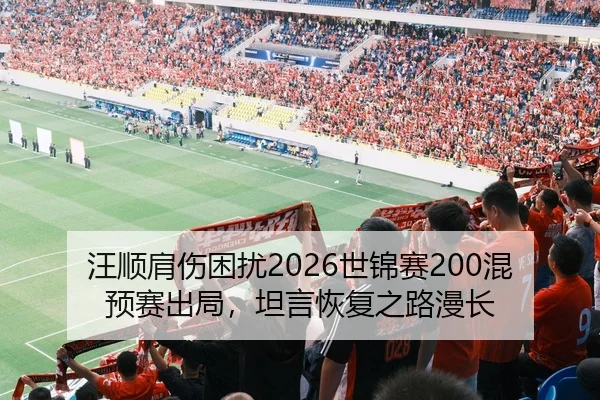 wang-shun-jian-shang-kun-rao-shi-jin-sai-hun-yu-sai-chu-ju-tan-yan-hui-fu-zhi-lu-man-chang-2-931.jpg